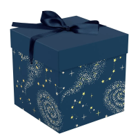 Коробка складная подарочная MESHU "Magic" 15 x 15 x 15 см, с лентой, отд фольгой RE-MS_62560