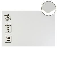 Картон пивной 1.5 мм 1150 г/м2 20 x 30 см 1 шт (Беларусь) SIM-9590047