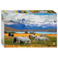 Пазл Step Puzzle 1000 "Лошади в национальном парке. Чили" STP-79179