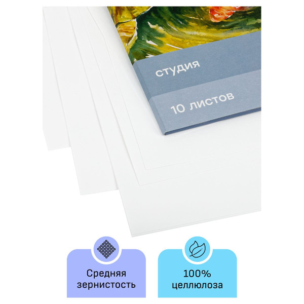 Папка для акварели ГАММА "Студия" 200 г/м2 А4 10л. среднее зерно RE-40C03F710W