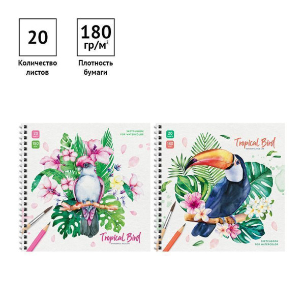 Скетчбук для акварели 20л. 190 x 190 мм ArtSpace "Tropical Bird" 180 г/м2, на гребне RE-Сак20грг_38350