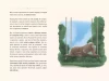 Книга: Кролик, который хочет уснуть. Сказка в помощь родителям MIF-466741
