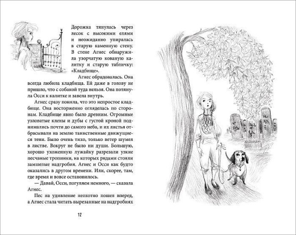 Книга: Толонен Т. Агнес и тайный ключ ROS-37664