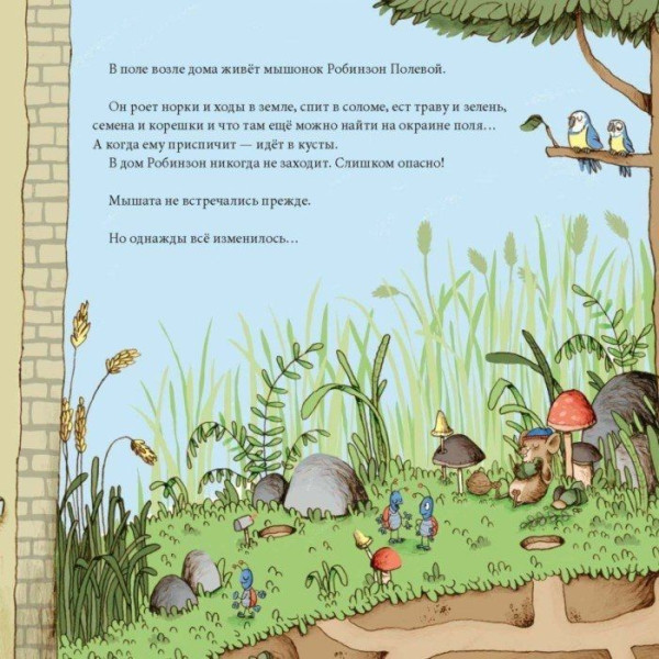 Книга: Моцарт и Робинзон. Волшебство сырной луны MIF-461371