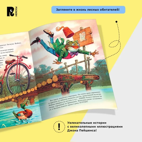 Книга: Пейшенс Дж. Приключения на воздушном шаре ROS-41009
