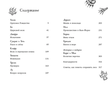 Книга: Двенадцать секретов (#8) EKS-191016