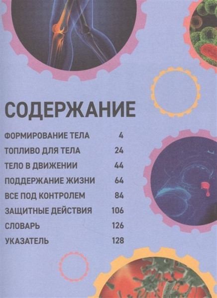 Книга: Как устроено твое тело ROS-38817