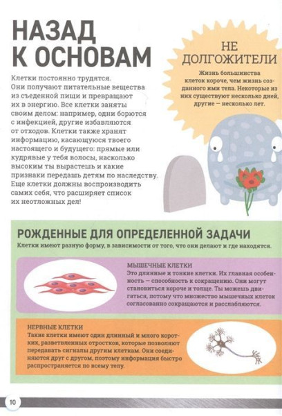 Книга: Как устроено твое тело ROS-38817
