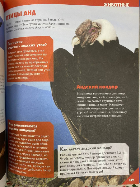 Книга: Большая универсальная энциклопедия ROS-39028