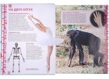 Книга: Человек. Большая энциклопедия ROS-30622