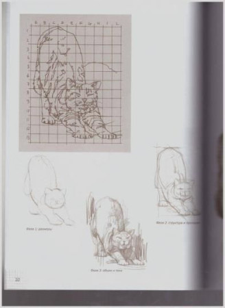 Книга Э: Кошки: Рисуем по сеткам 978-5-04-097529-7