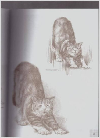 Книга Э: Кошки: Рисуем по сеткам 978-5-04-097529-7