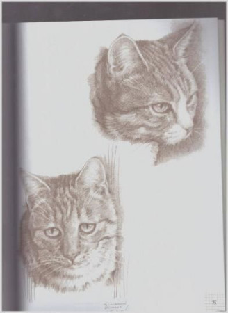 Книга Э: Кошки: Рисуем по сеткам 978-5-04-097529-7