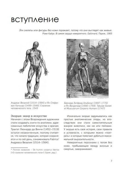 Книга: МОРФО. Анатомия для художников EKS-161132