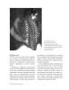 Книга: МОРФО. Анатомия для художников EKS-161132