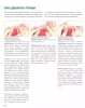 Книга Э: Милые, теплые, смешные 978-5-04-095186-4