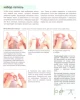 Книга Э: Милые, теплые, смешные 978-5-04-095186-4