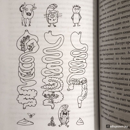Книга: Очаровательный кишечник. Как самый могущественный орган управляет нами EKS-813513