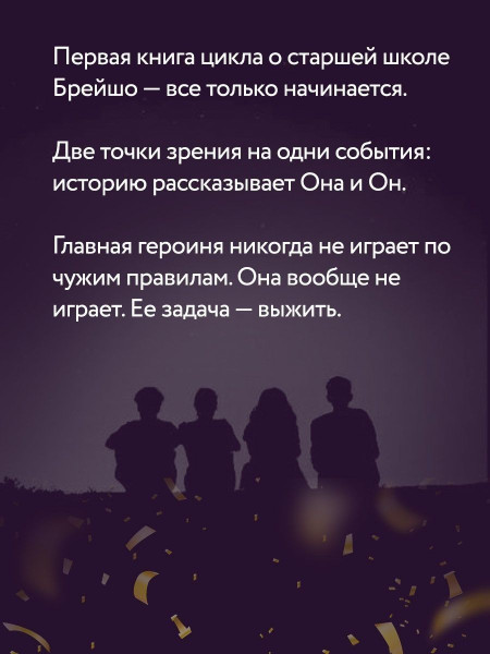 Книга: Парни из старшей школы (#1) EKS-169336