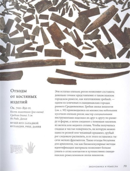 Книга: Викинги. Тайны истории MIF-699767