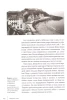 Книга: DIOR. История модного дома EKS-738167