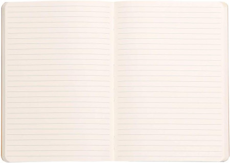 Блокнот RHODIARAMA Softcover A5 90 г/м2 80 л, в линию, на резинке, серебро RH-117401C