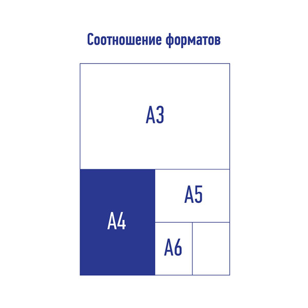 Папка-конверт на кнопке A4 Berlingo "Eco" 180 мкм, с рисунком RE-EFb_A4801