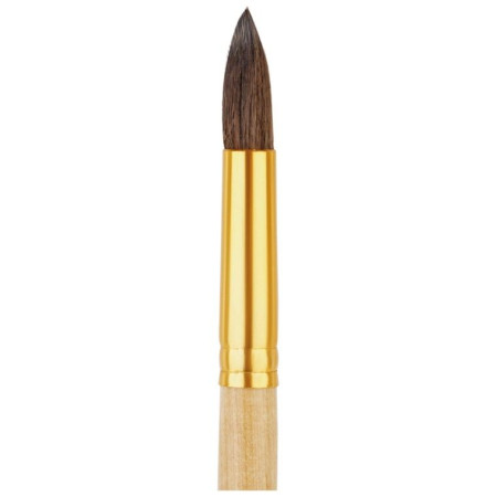 Кисть белка ArtSpace круглая №10 RE-SH10_14519