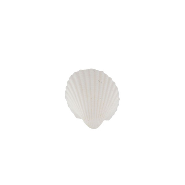 Ракушки декоративные ZLATKA / Blumentag 100 г ± 5 г Clam Rose DRF-031