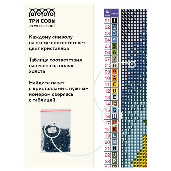 Алмазная мозаика ТРИ СОВЫ "Букет с маками" 30 x 40 см, холст RE-АМ3040_47518