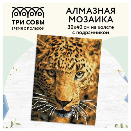 Алмазная мозаика ТРИ СОВЫ "Взгляд охотника" 30 x 40 см, холст на подрамнике RE-АМП3040_47597