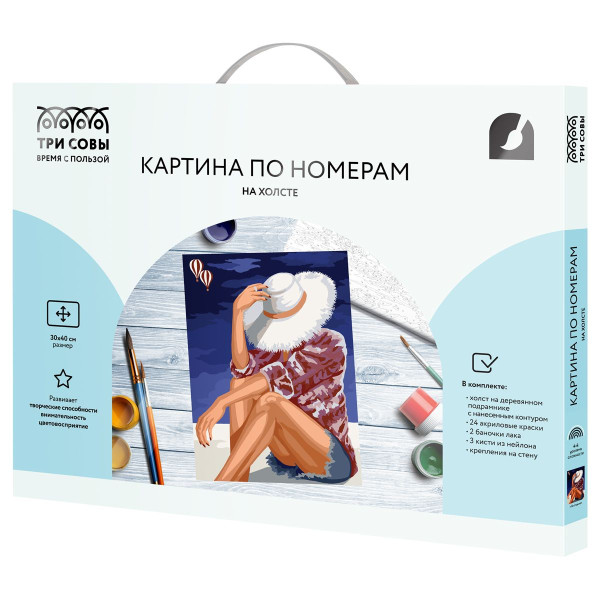 Картина по номерам на холсте ТРИ СОВЫ "На отдыхе" 30 x 40 см, краски, кисть RE-КХ3040_53869