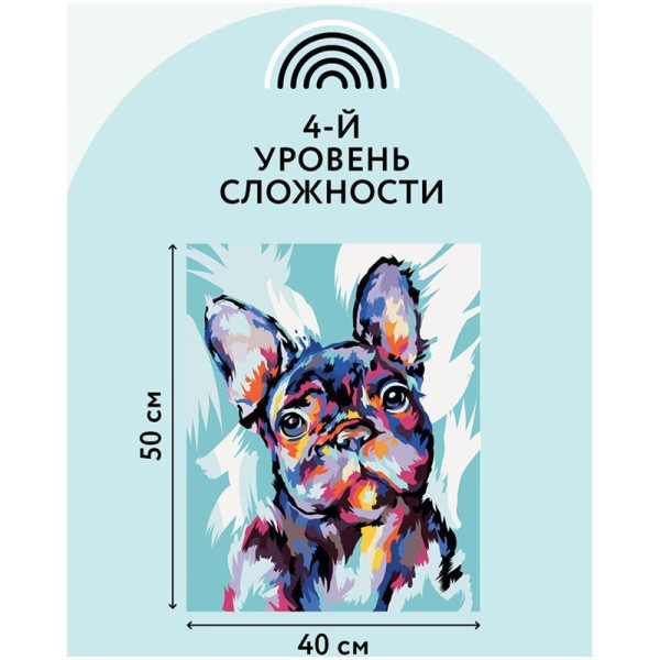 Картина по номерам на холсте ТРИ СОВЫ "Яркий французский бульдог" 40 x 50 см с акриловыми красками и кистями RE-КХ_44171