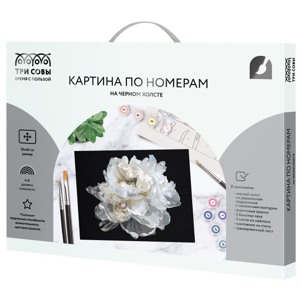 Картина по номерам на черном холсте ТРИ СОВЫ "Белый цветок" 30 x 40 см, краски и кисть RE-КХп_48147