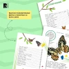 Книга: Животные. Энциклопедия для первого чтения с крупными буквами ROS-40218