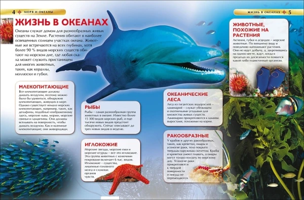 Книга: Моря и океаны. Детская энциклопедия ROS-17358