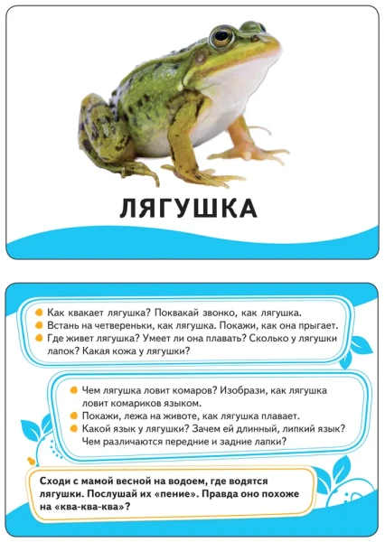 Разв.карточки. Животные (0+) ROS-20991