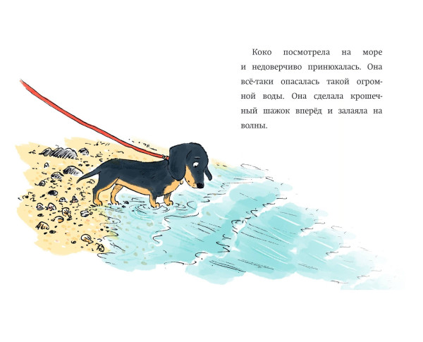 Книга: Щенок Коко, или Загадка с одной таксой (цв.ил.) (Чтение до школы) EKS-558024