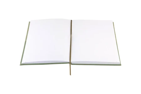 Блокнот для записей Стихия Bullet Journal 100 г/м2, 14 x 20 см, 80 л, жесткая обложка, оливковый MPST04045