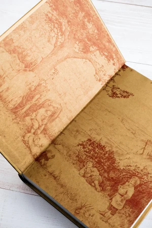Книга: Братство кольца. Второе издание с иллюстрациями Дениса Гордеева EKS-101640