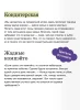 Книга: Лавка сладостей на Сумеречной аллее EKS-504732