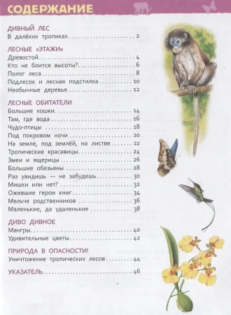Книга: Джунгли (Энциклопедия для детского сада) ROS-35067