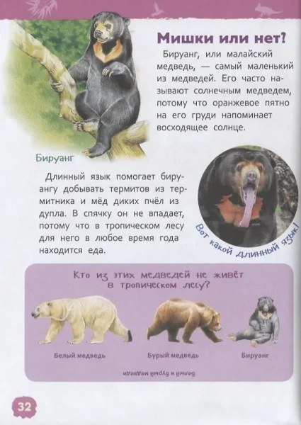 Книга: Джунгли (Энциклопедия для детского сада) ROS-35067