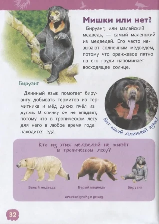 Книга: Джунгли (Энциклопедия для детского сада) ROS-35067