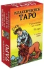 Карты: Классическое Таро. Руководство для гадания (78 карт, 2 пустые, инструкция в коробке) EKS-121686