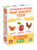 Обучающие карточки "Мир вокруг" 128 картинок KOR-05980